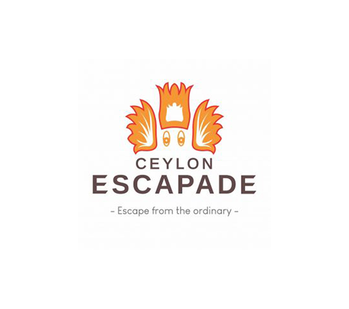 Leisure Sector