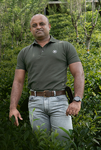 Indika
